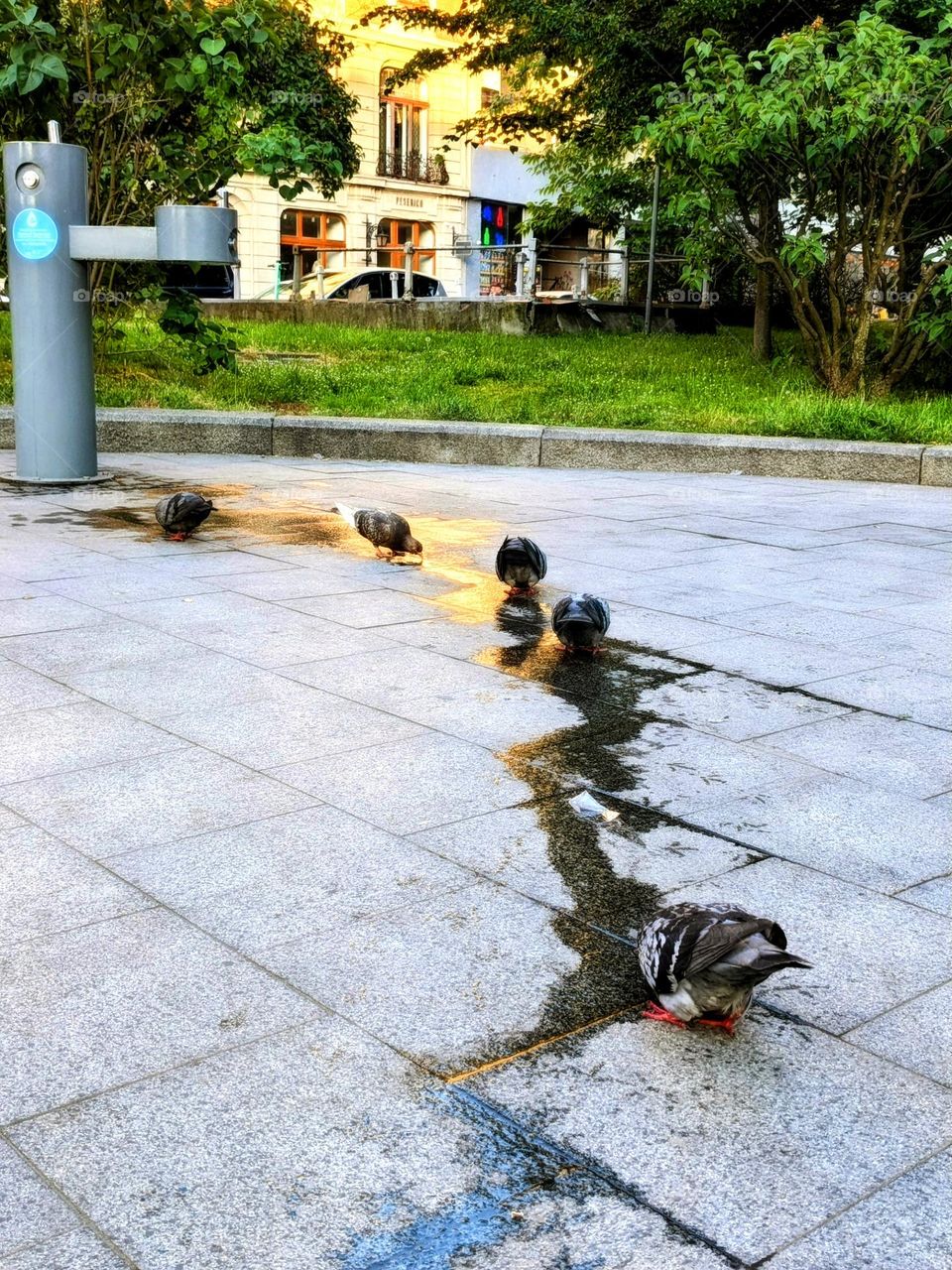 Queue to drink water