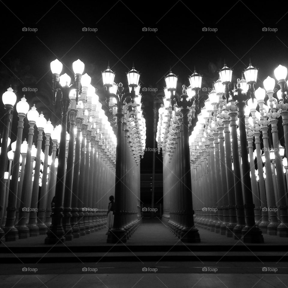 lights camera action 