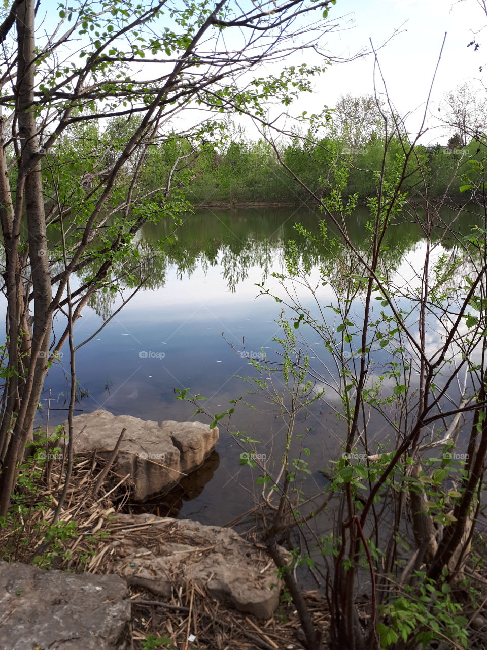 early morning by the river