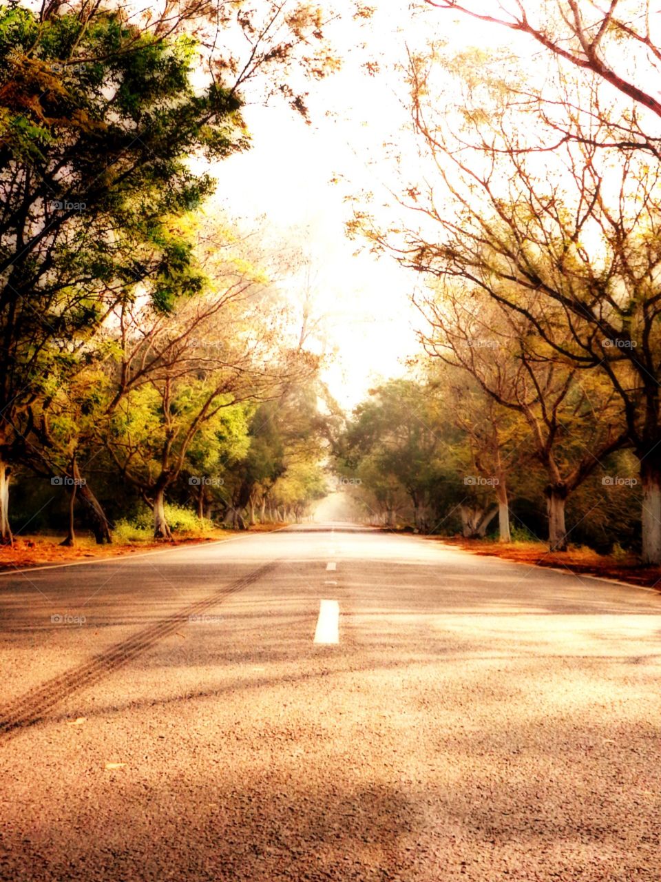 Getting lost ..to find real path