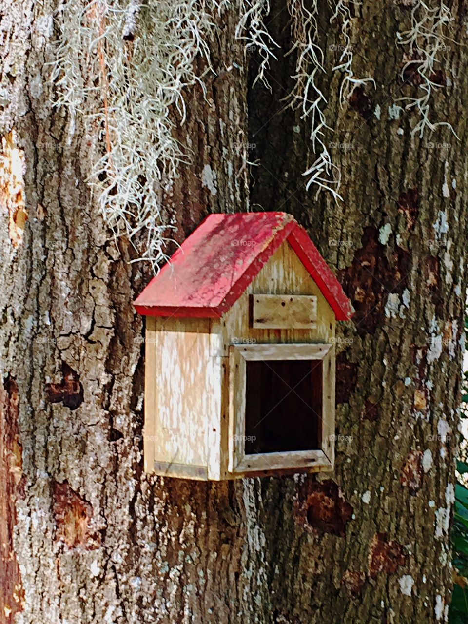 Birdhouse on a tree