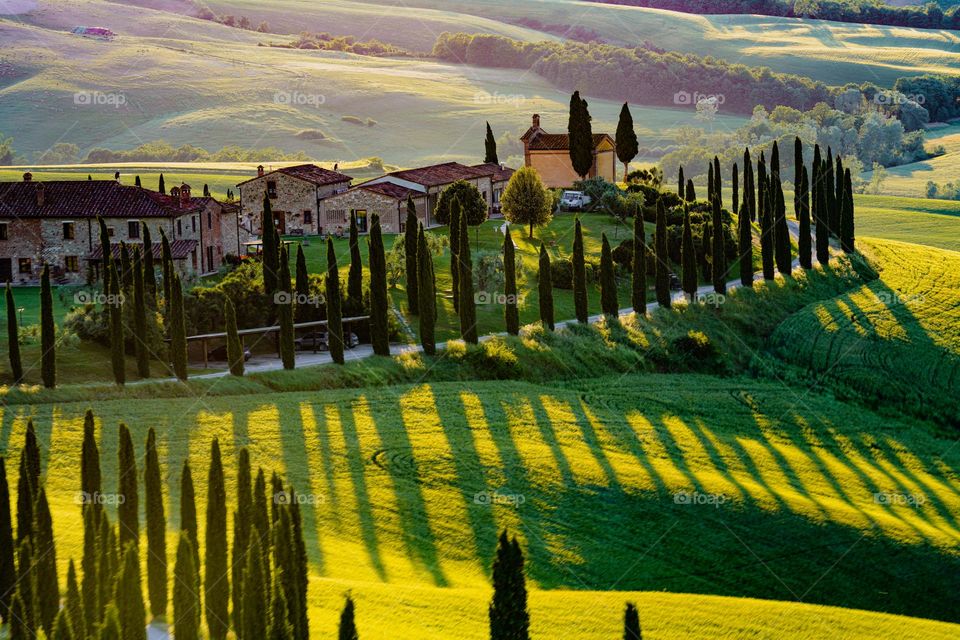 Classical Tuscany