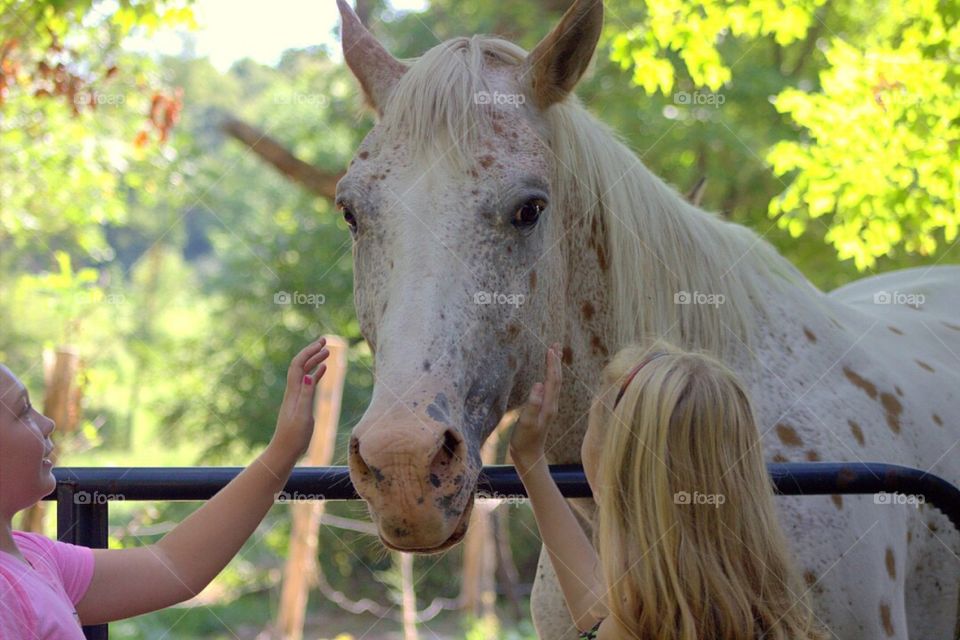 Pretty girls showing affection to this beautiful horse. 