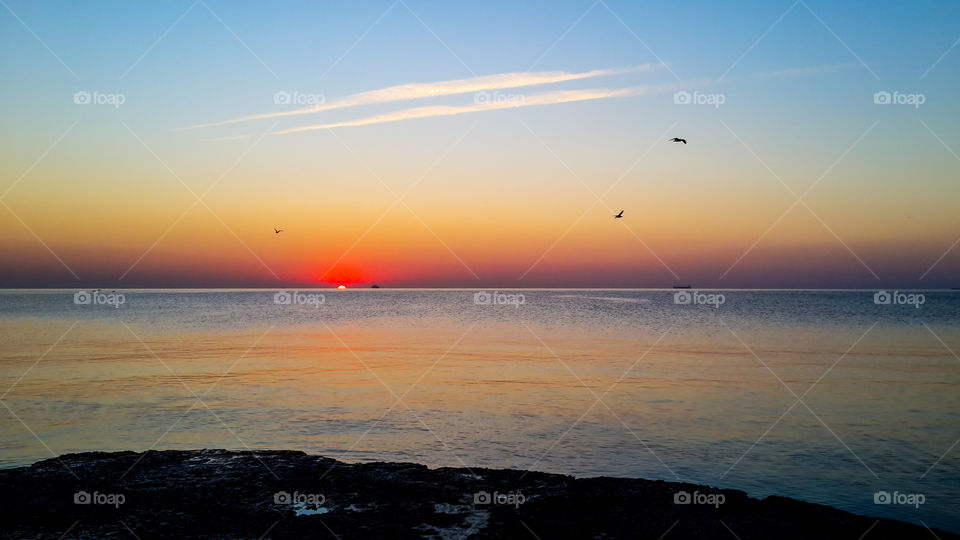 Silhouette of birds flying at sunrise
