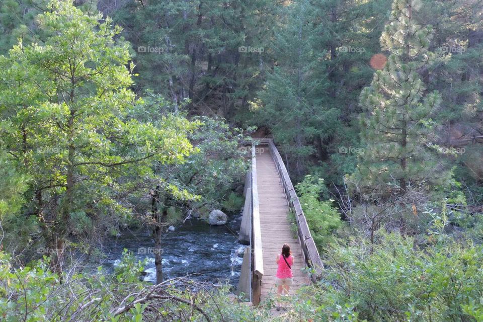 MaCArthur-Burney Falls Memorial State Park