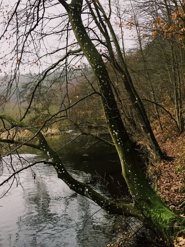 Running route II