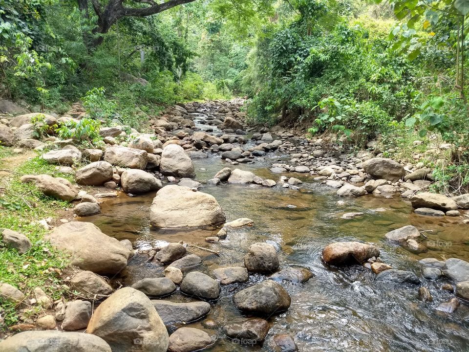 nature falls area