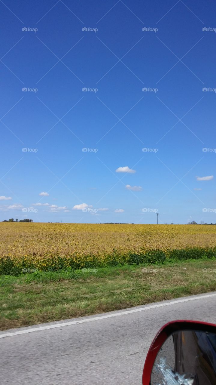 Landscape, Field, Nature, Sky, Agriculture