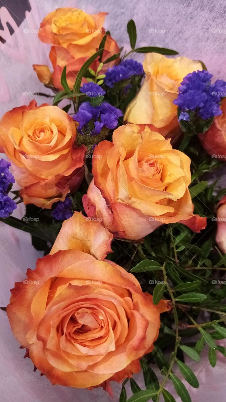 Blumen aus Deutschland