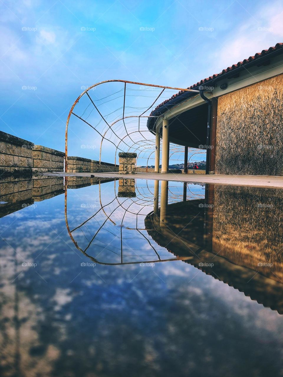 Metal rusty fence, canopy reflecting in a puddle.  Geometric shapes.