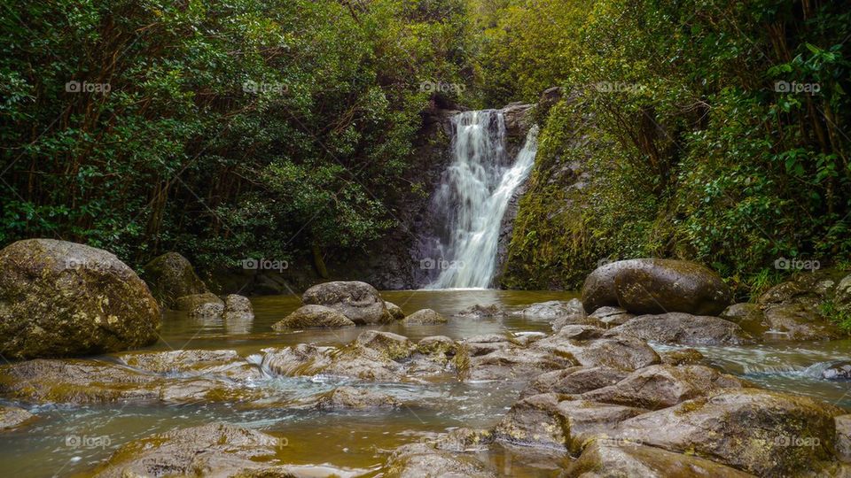 laie fall hawaii