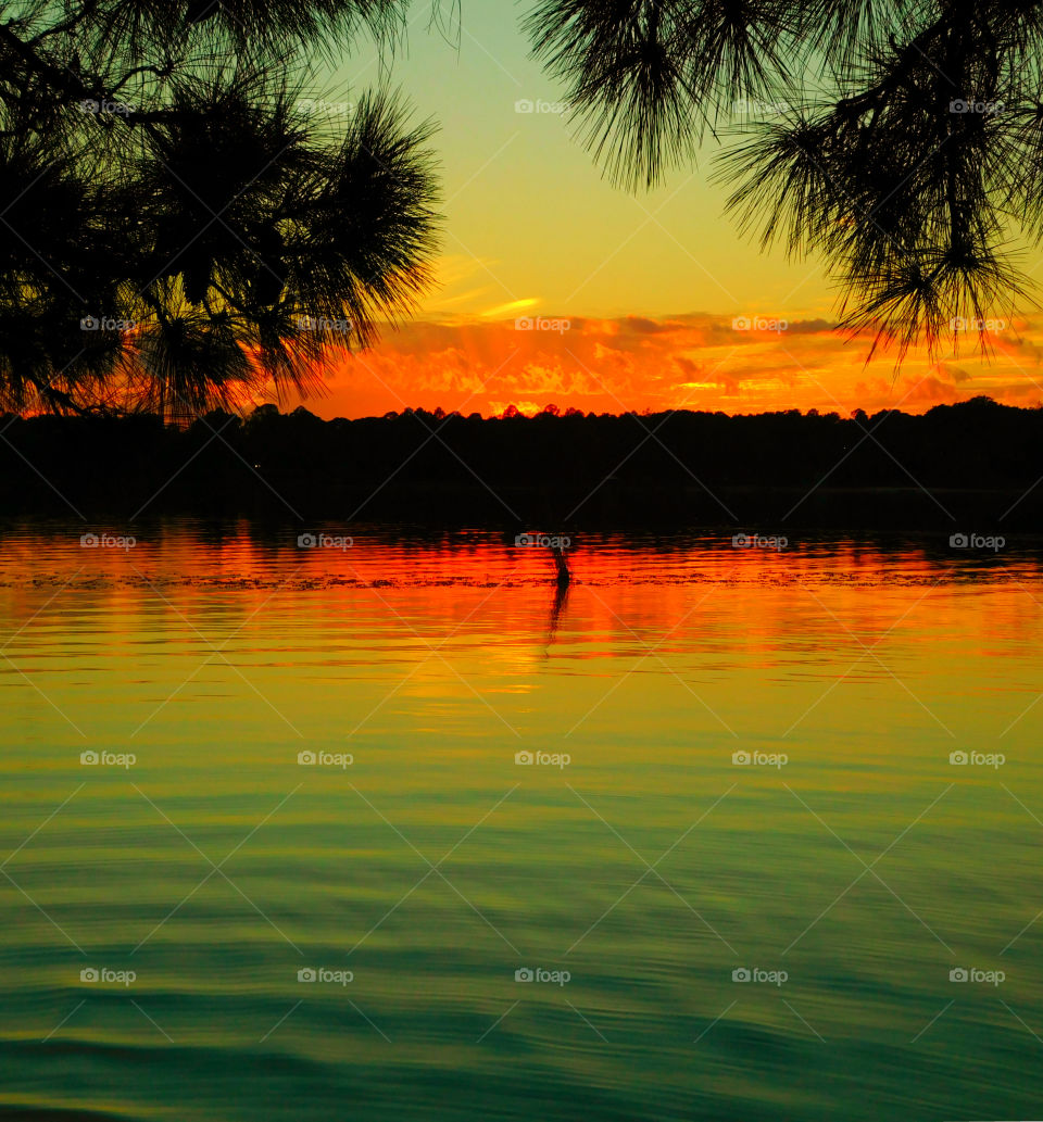 Sunset over lake with silhouetted trees