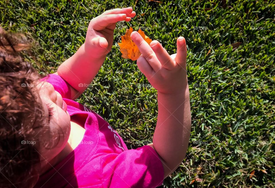 Playing and learning about leaves 