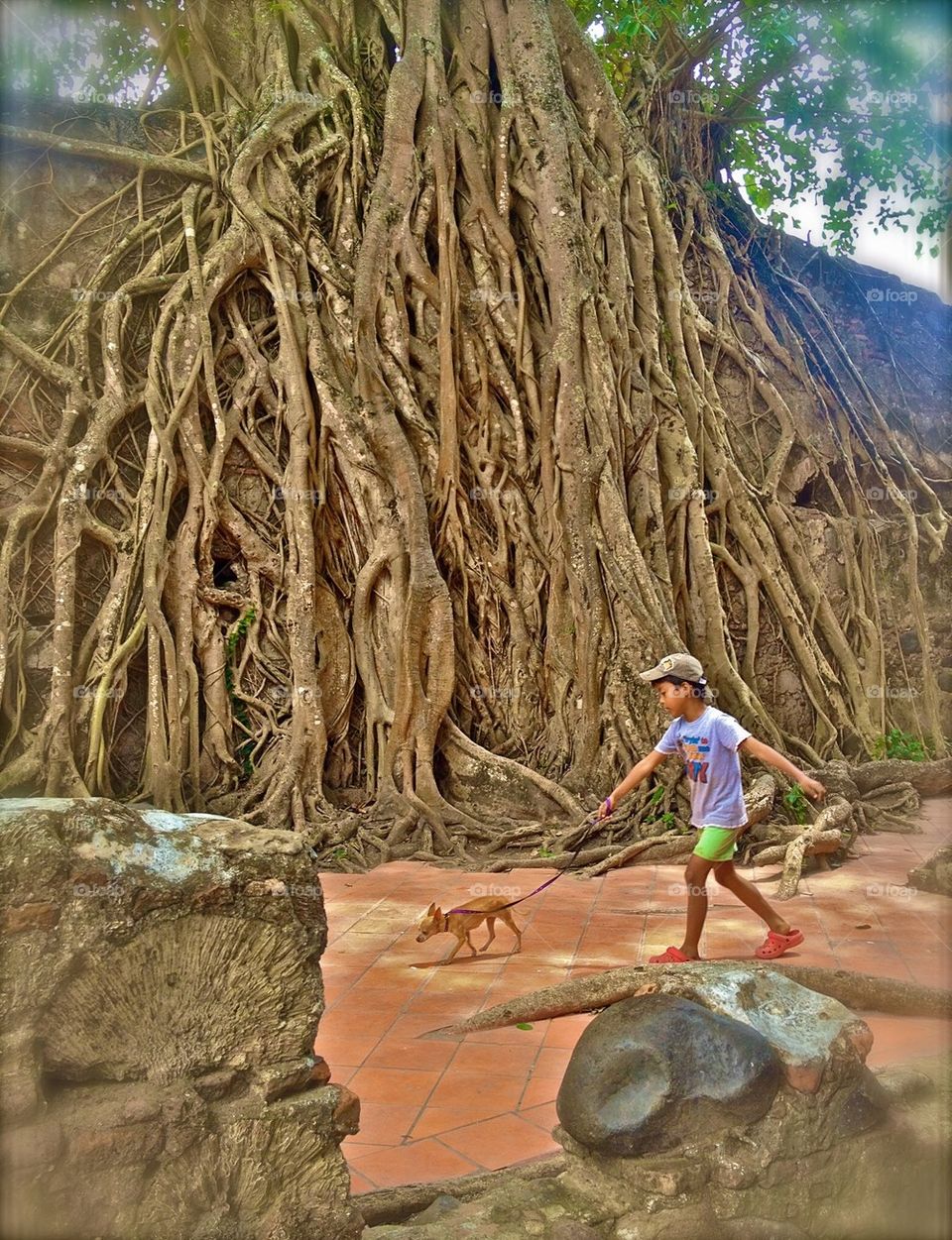 Boy Walking Chihuahua Mexico