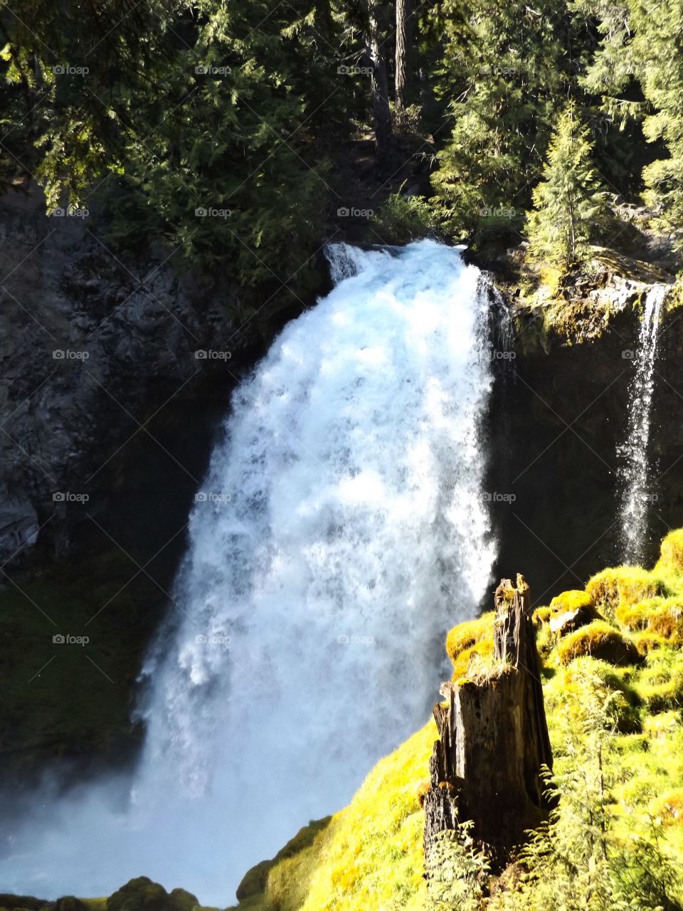 Waterfall in the forest 