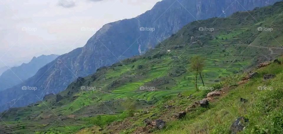 Glory be to God, the magnificent and picturesque view and the natural green trees are a view that is nothing more wonderful than it