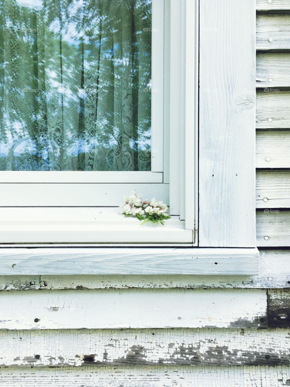 Minimalistic Snaps - tree blossoms on a windowsill after a storm