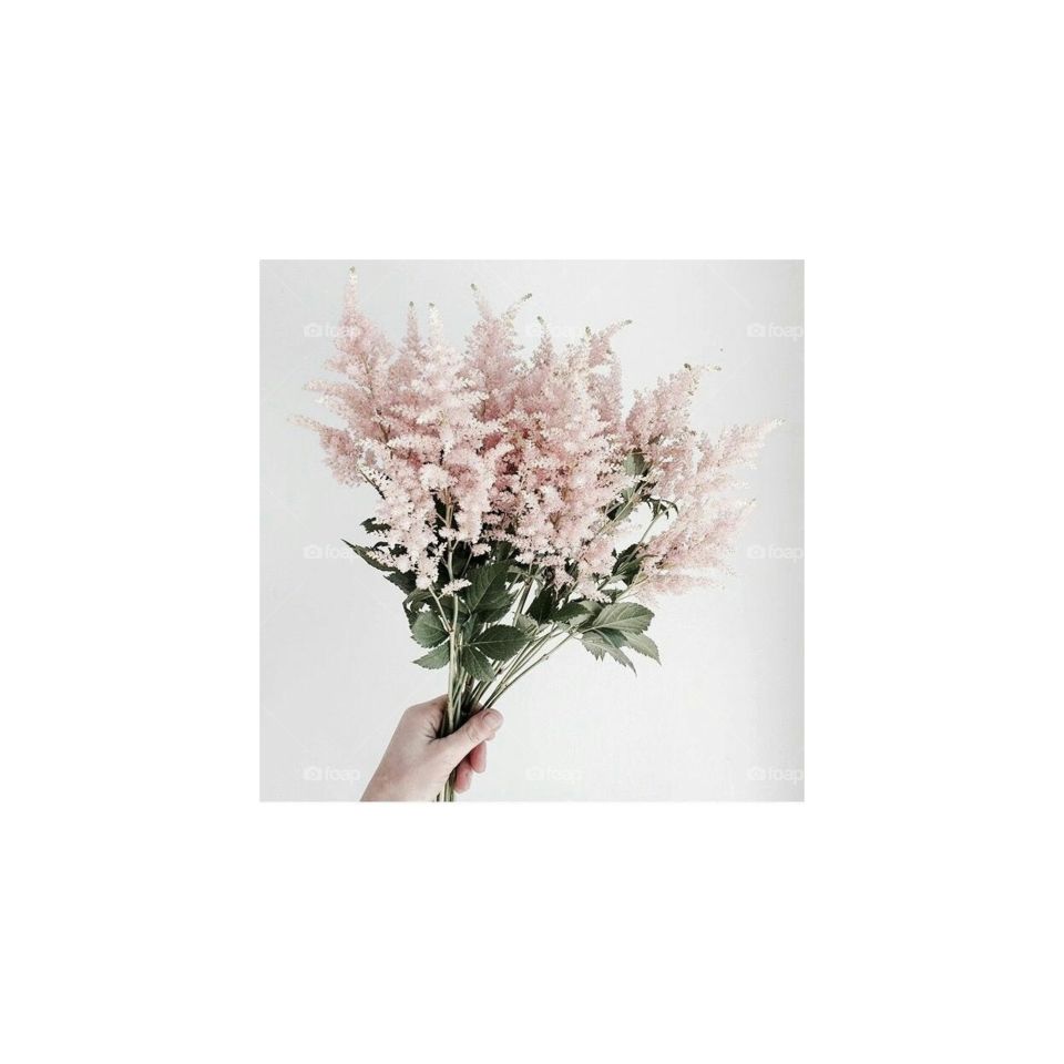 Bunch of Flowers Minimal