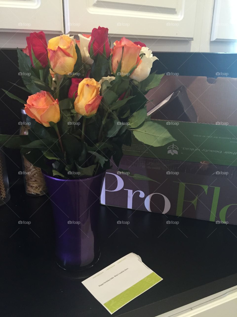 No Person, Indoors, Flower, Color, Family