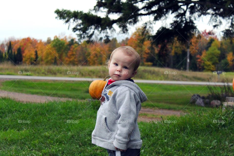 Little pumpkin 
