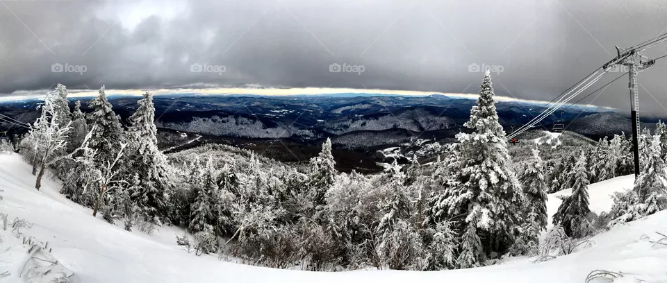 Snow, Winter, Landscape, Cold, Frost