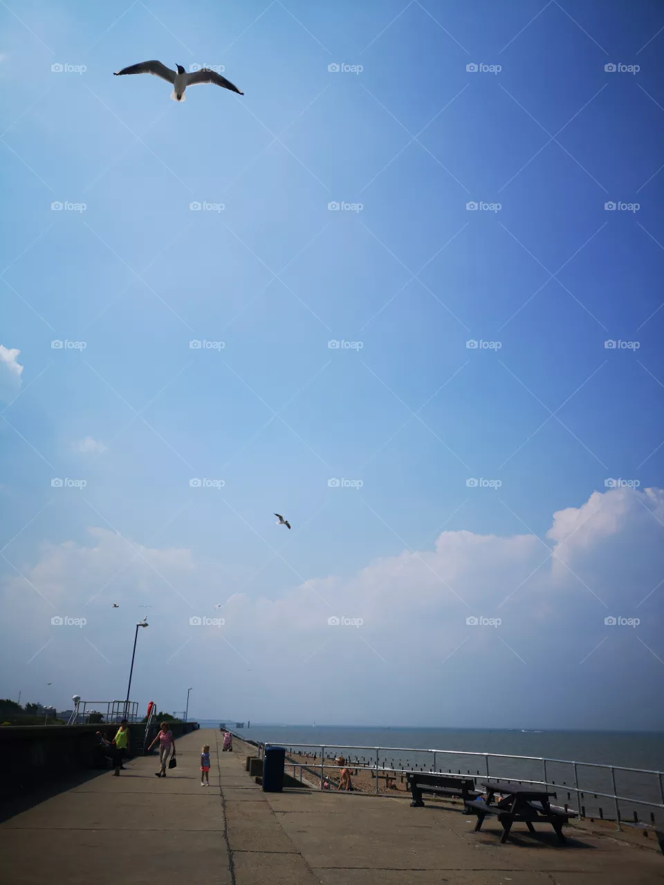 sky