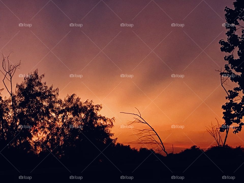 The Sun is hiding beyond Clouds farther than the Eye can see and behold the shadows are busting the light of Night. 