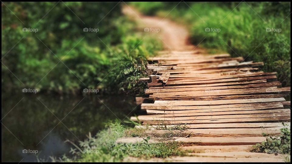 jembatan kayu #salamkatoang