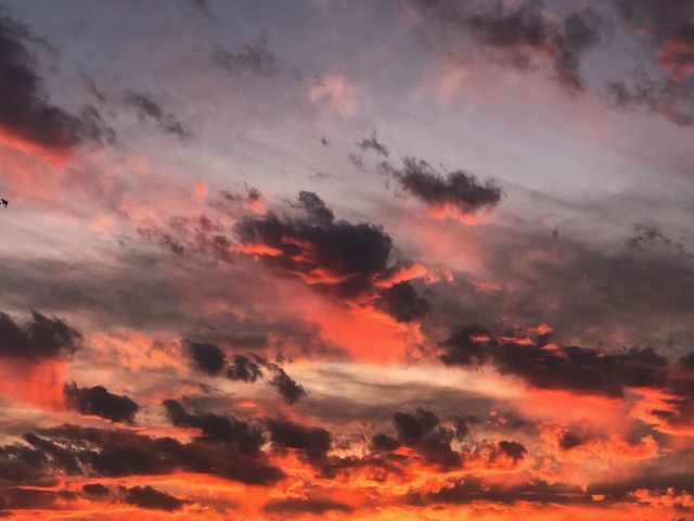 The sunset