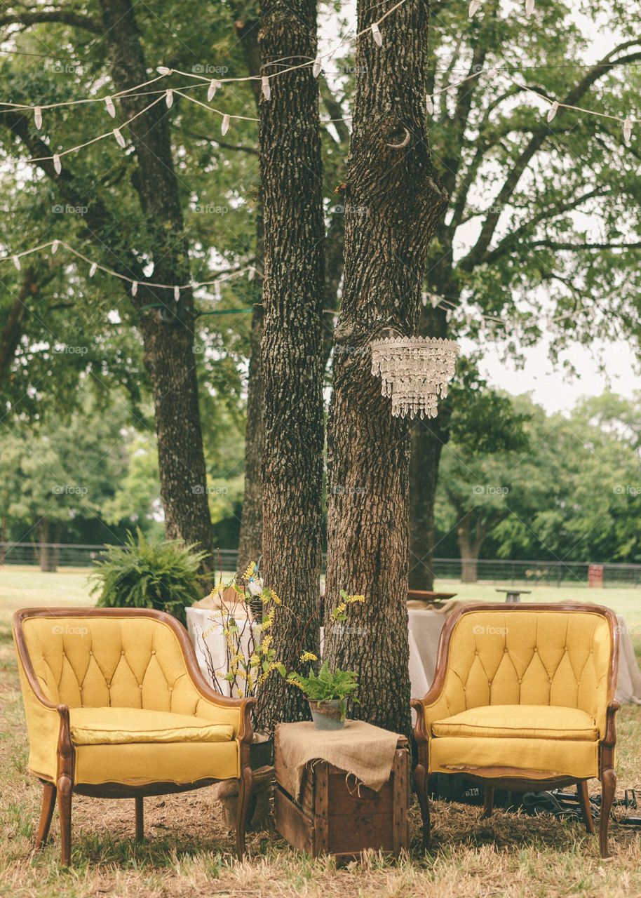 Photo Of Chairs Under The Tree