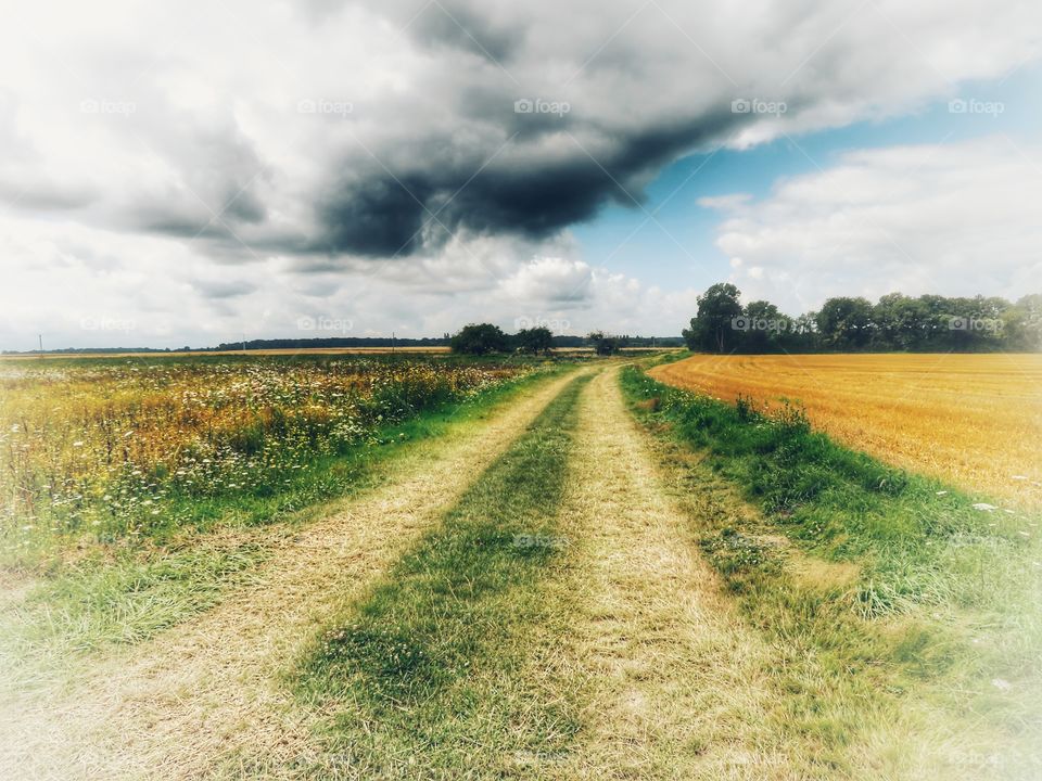 field path