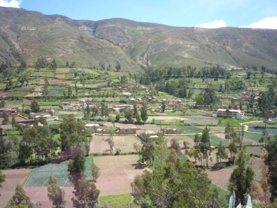 landscape of plantation fields in Tarma Peru