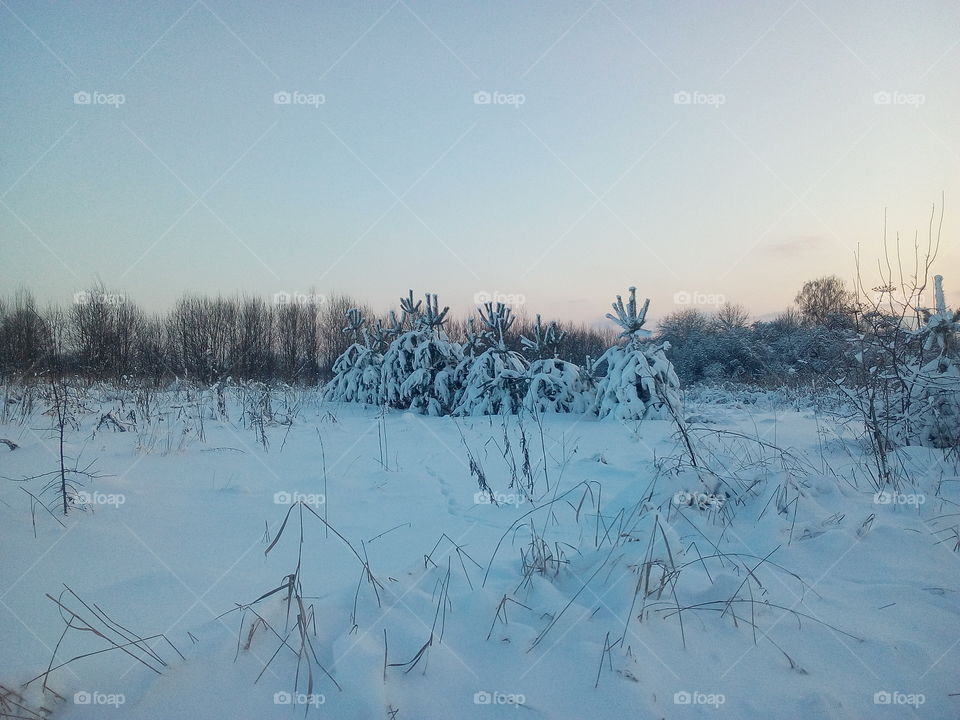 Зима в России)))