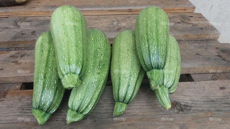 Zucchini