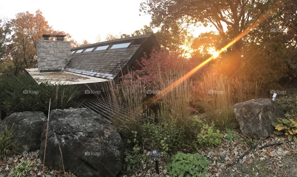 Sun beams light the path to a new style