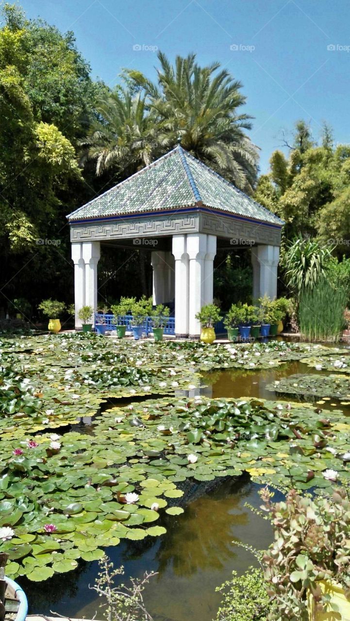 Beautiful castel in majorelle garden in maarrakesh in Morocco.