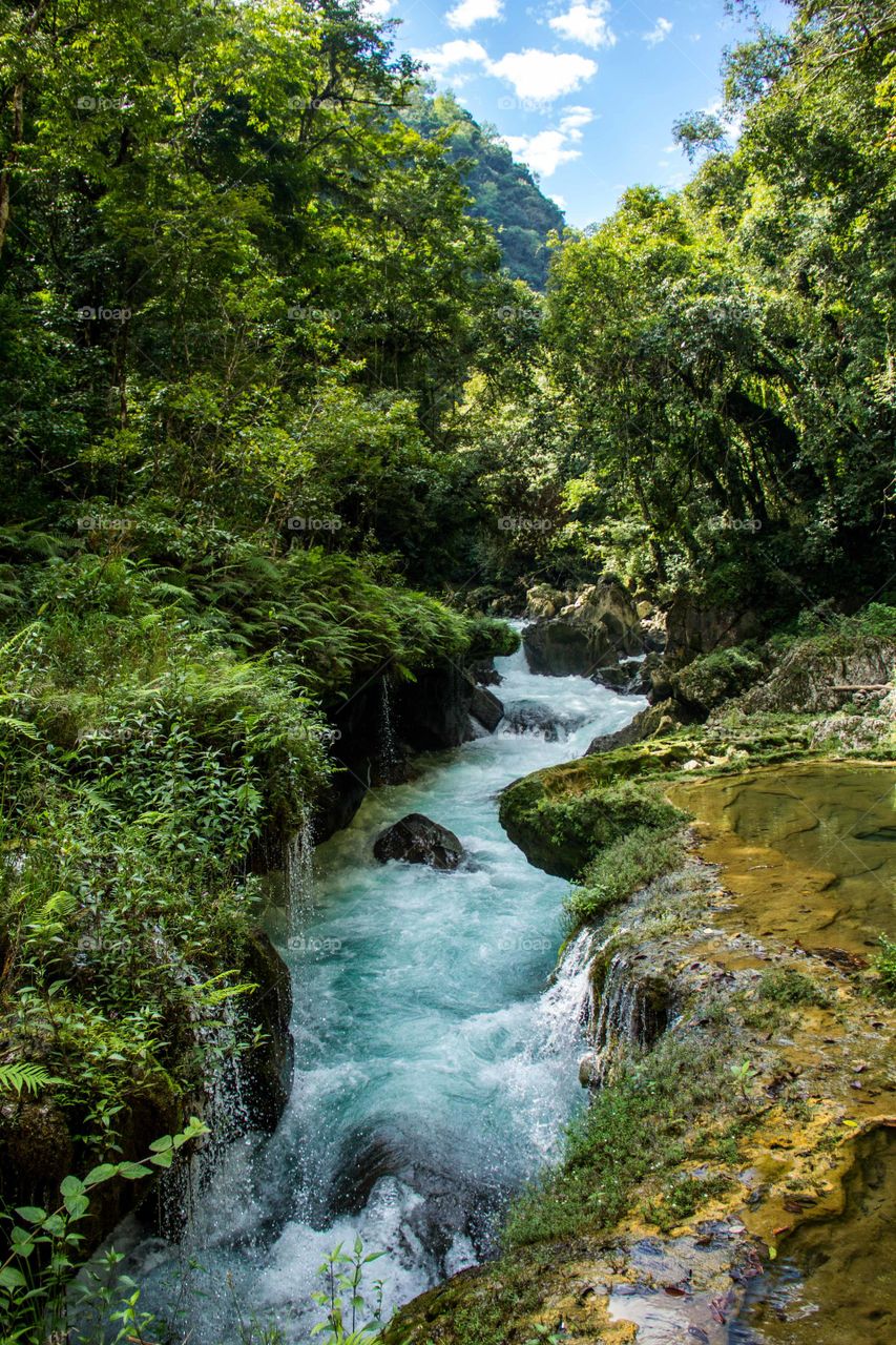 Flowing river in the lovely place Semuc Champey in Guatemala.