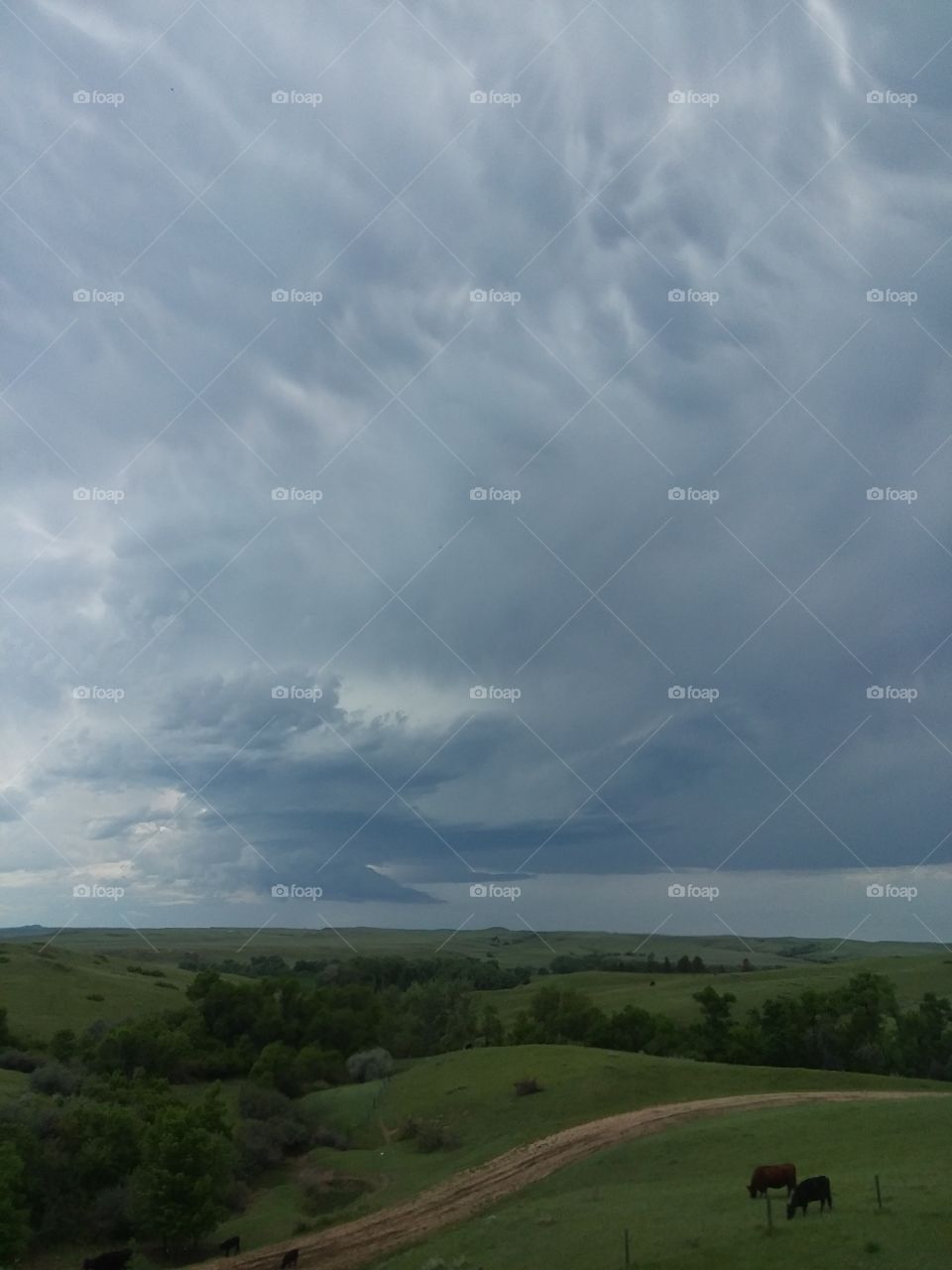 Storm Clouds on the Horizon