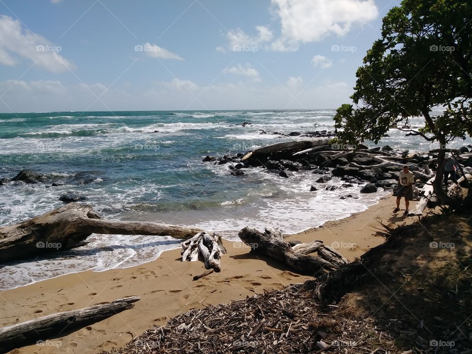 on the beach in Hawaii