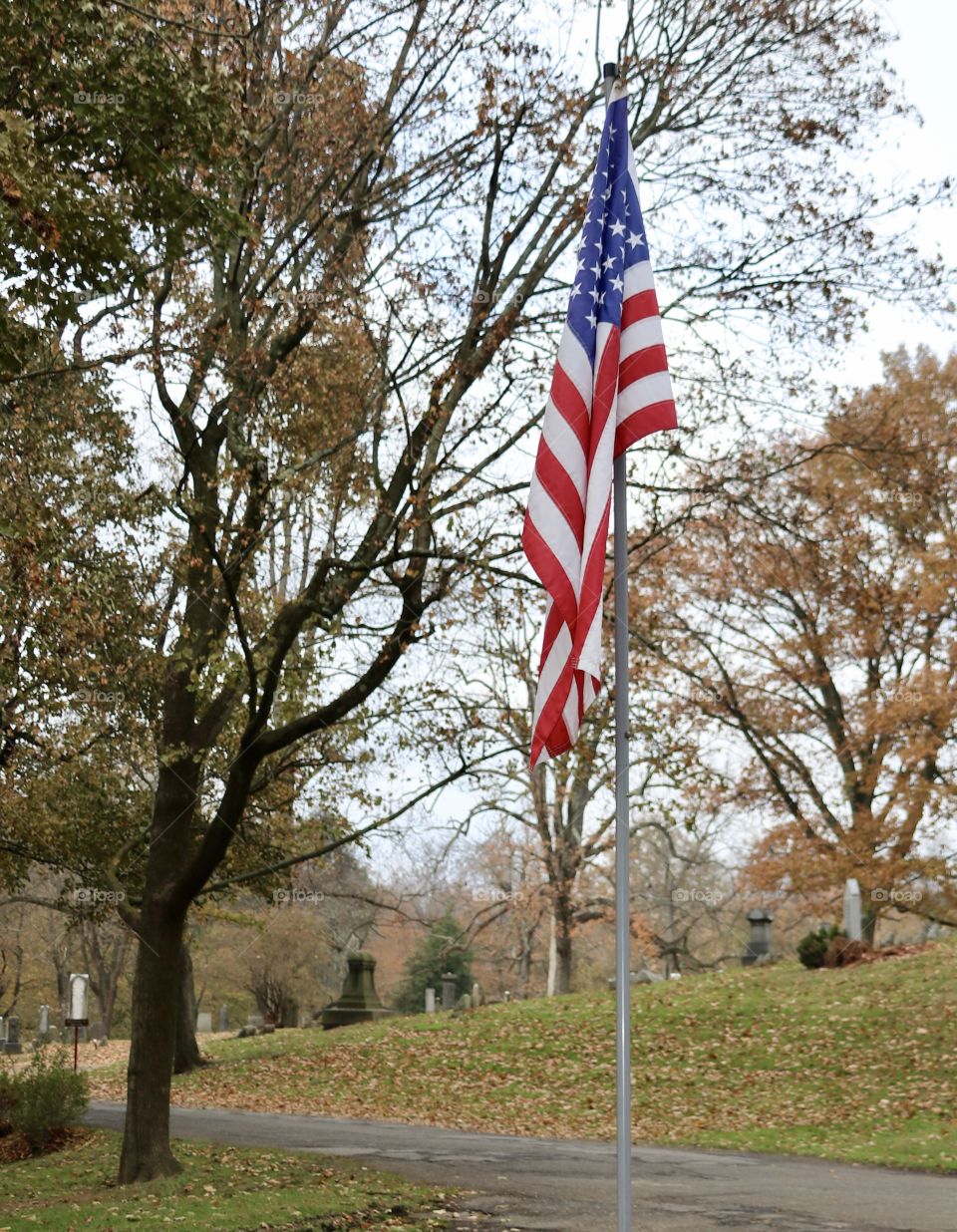 American Flag 