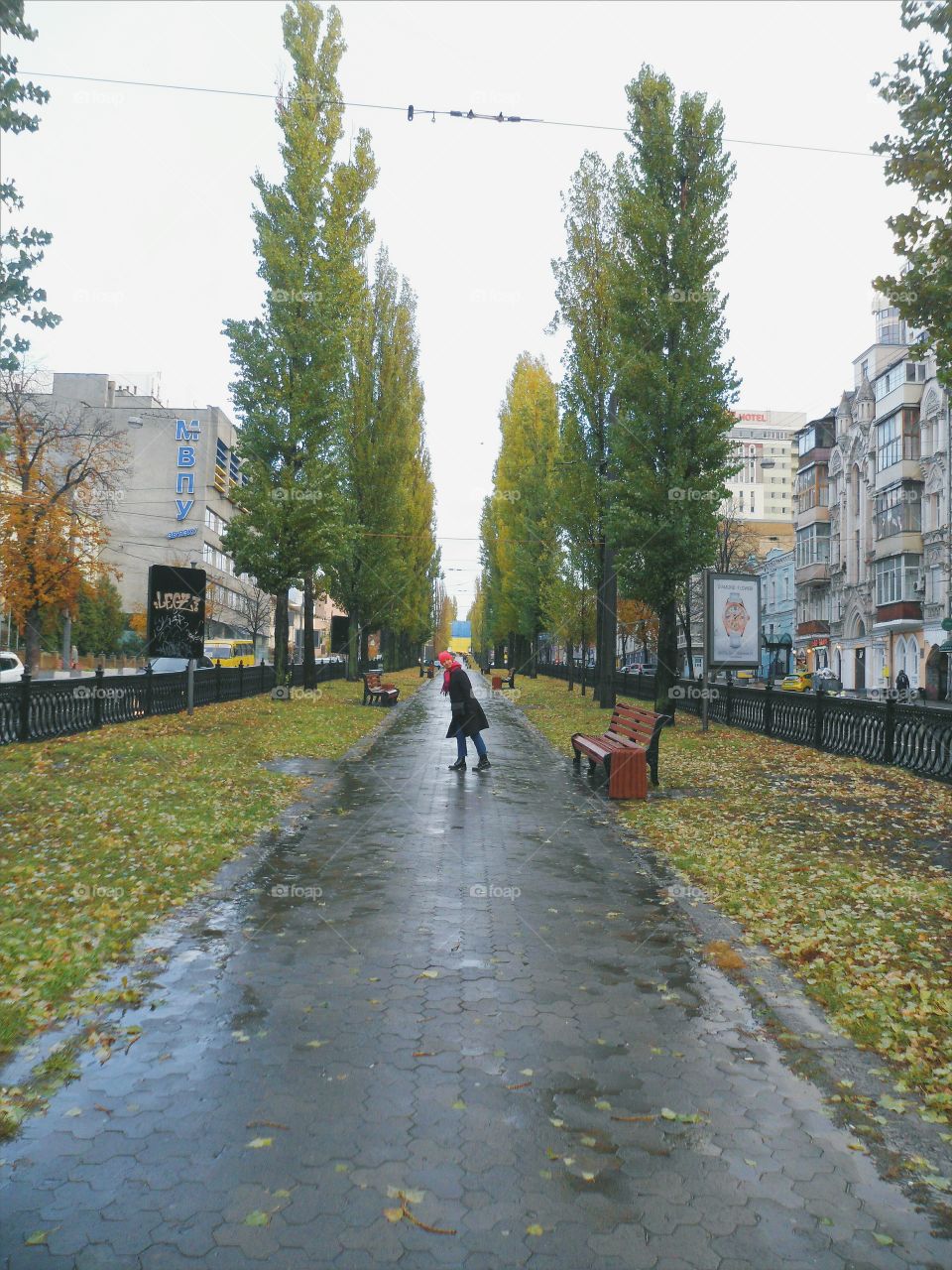 on Kiev city street, autumn