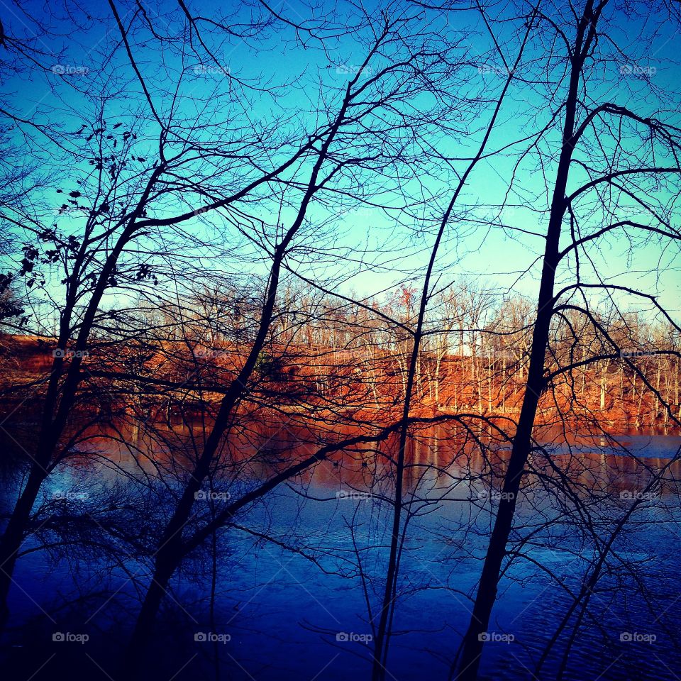 Afternoon run through the woods. 