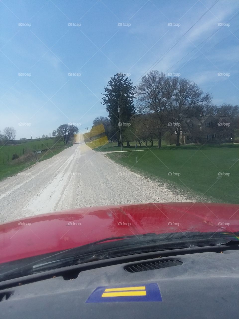trees are ready to pop out with leaves