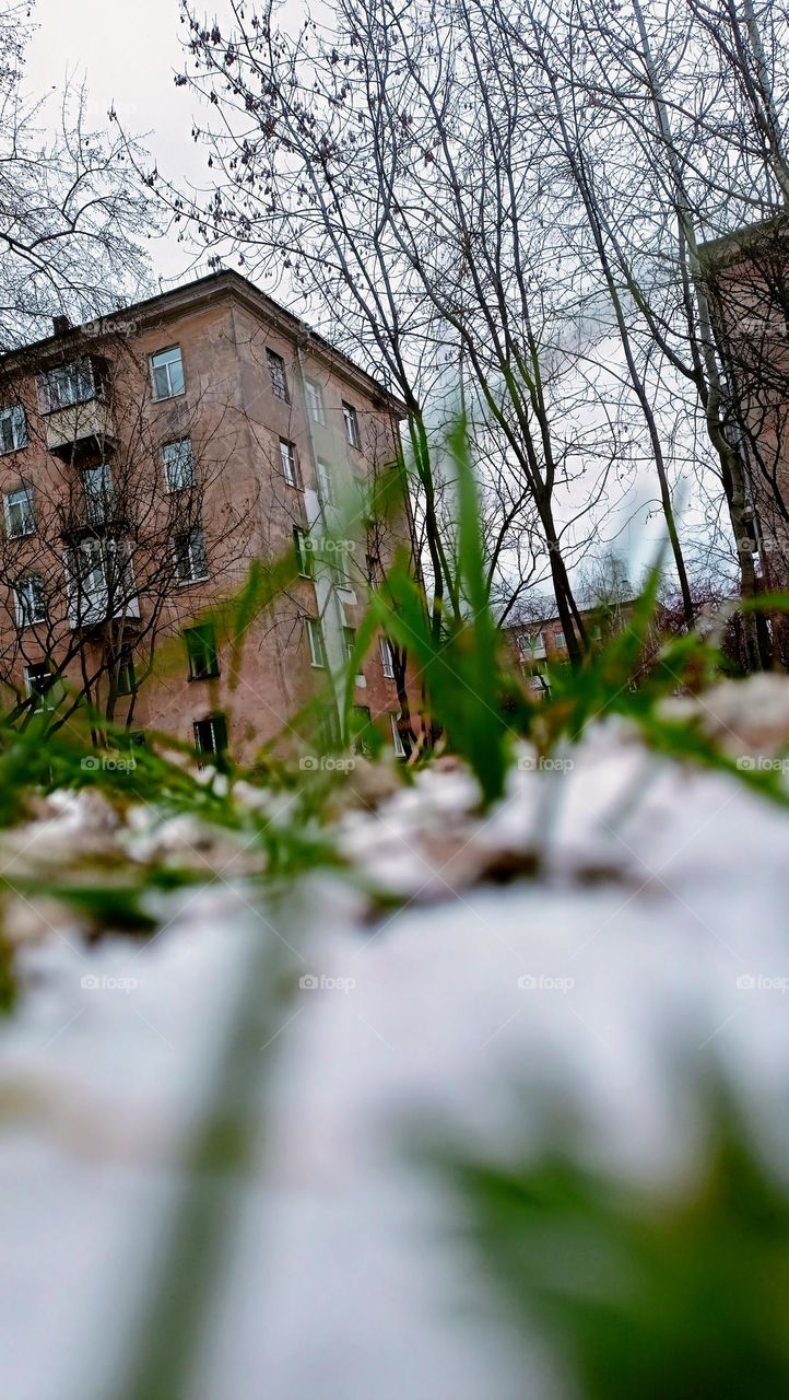 The first snow,autumn,October,green blades of grass, snow on the ground,snow on the grass, street, stone houses,urban landscape