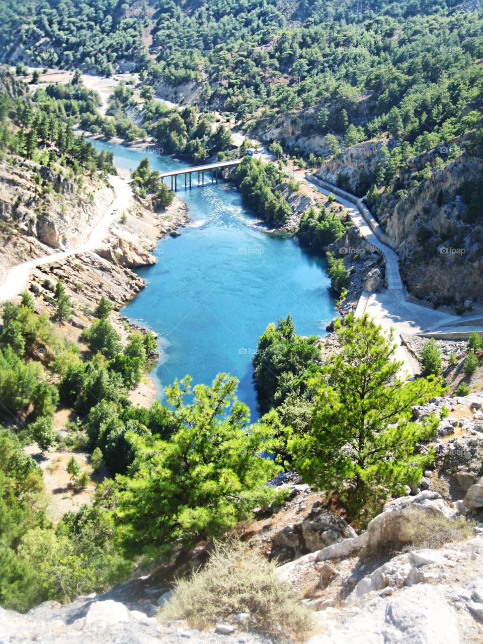 Bird's eye view of the river