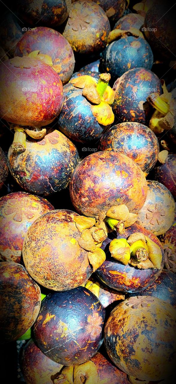 Mangosteen is a kind of evergreen tree from the tropics which is believed to have originated from the Malay Peninsula and spread to the Archipelago. Grows to reach 7 to 25 meters. The fruit, also called mangosteen, is purplish red when ripe, although