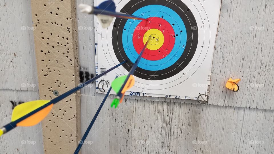 Arrows in a target at an archery range