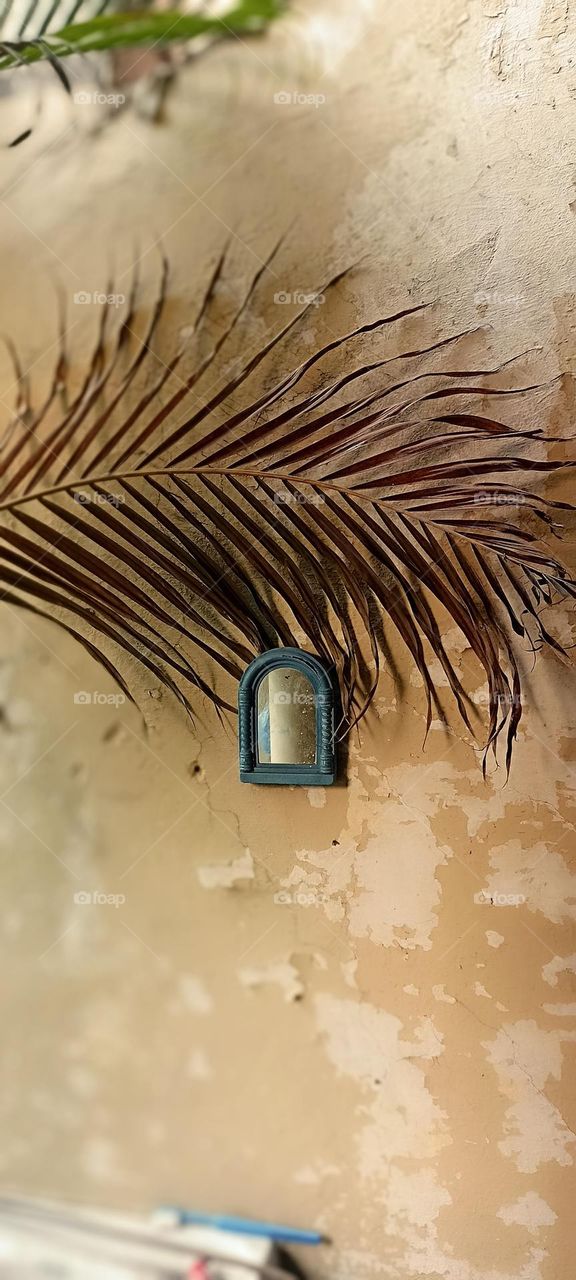 doors and windows never reflect but mirrors always do that.