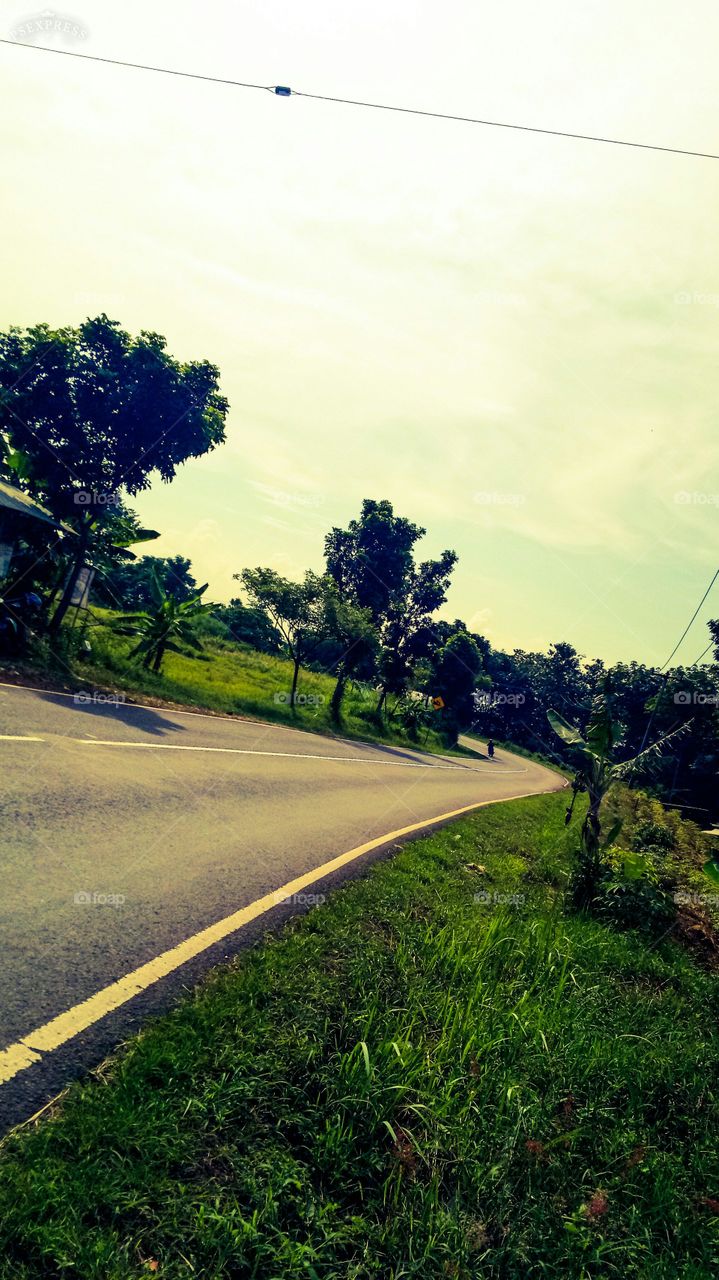 nature photo design color fully