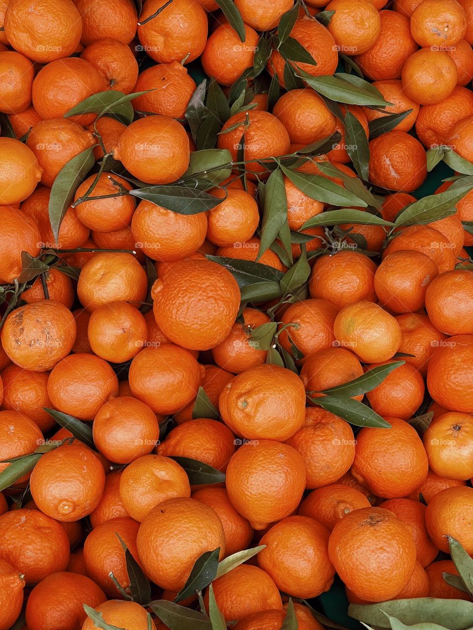 Mandarins texture 